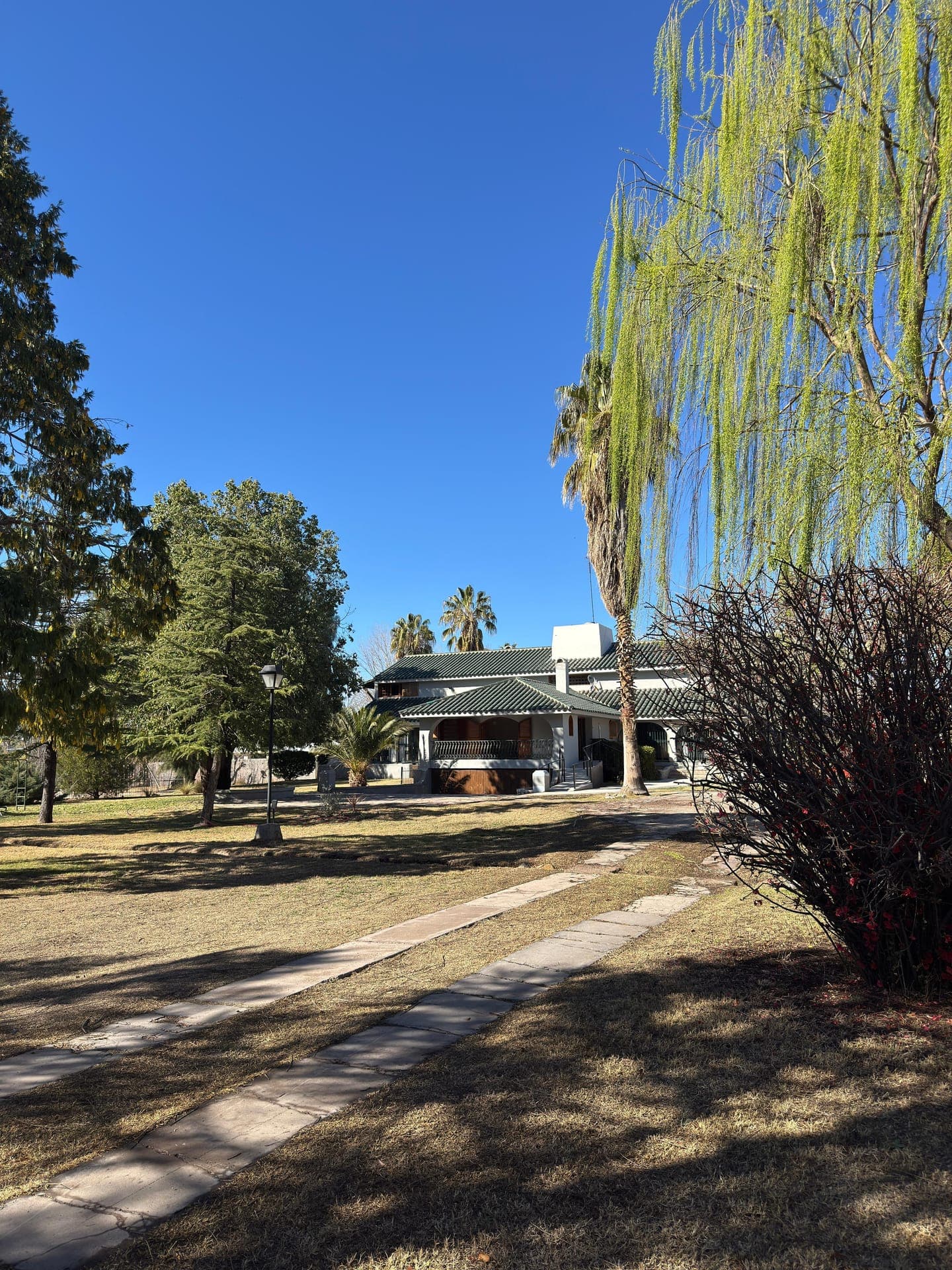 Parque con sauce y arboleda de LAM Chacras Larrea, nueva residencia para adultos mayores en Chacras de Coria